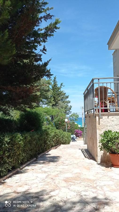 Villa Casa Punta D'Oro Faccia di Trippa di Monte Exterior foto